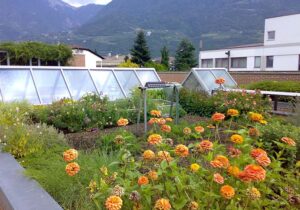 Scopri di più sull'articolo CONVEGNO: il giardino pensile